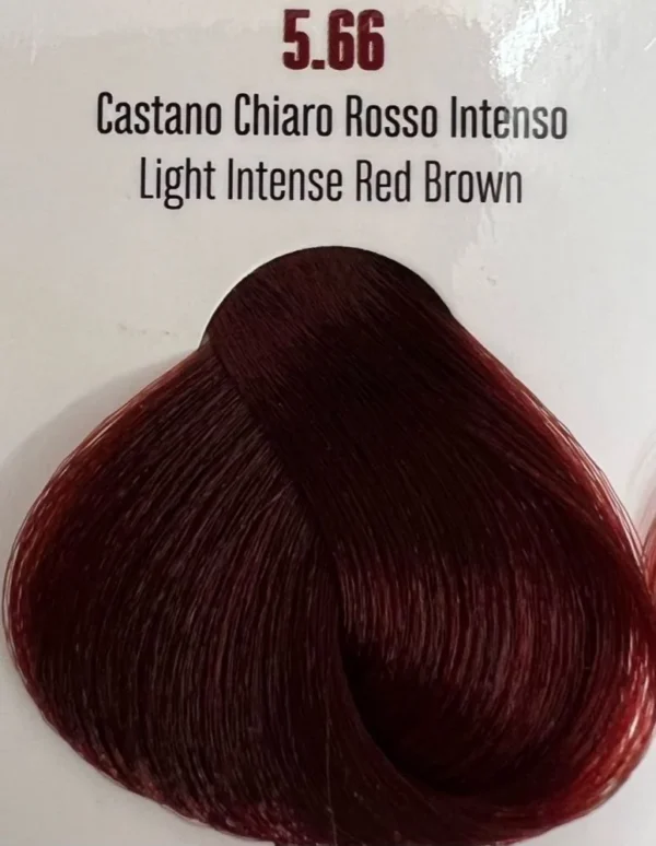 VIBA HAIR COLOUR 5,66