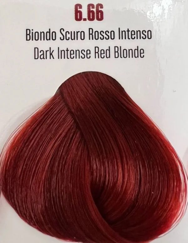VIBA HAIR COLOUR 6,66