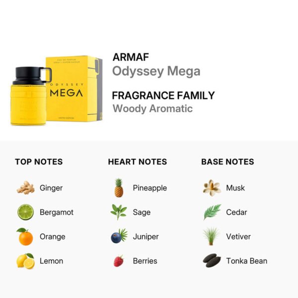 ODYSSEY MEGA EAU DE PARFUM 100ML